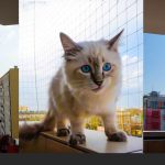 Siatki zabezpieczające